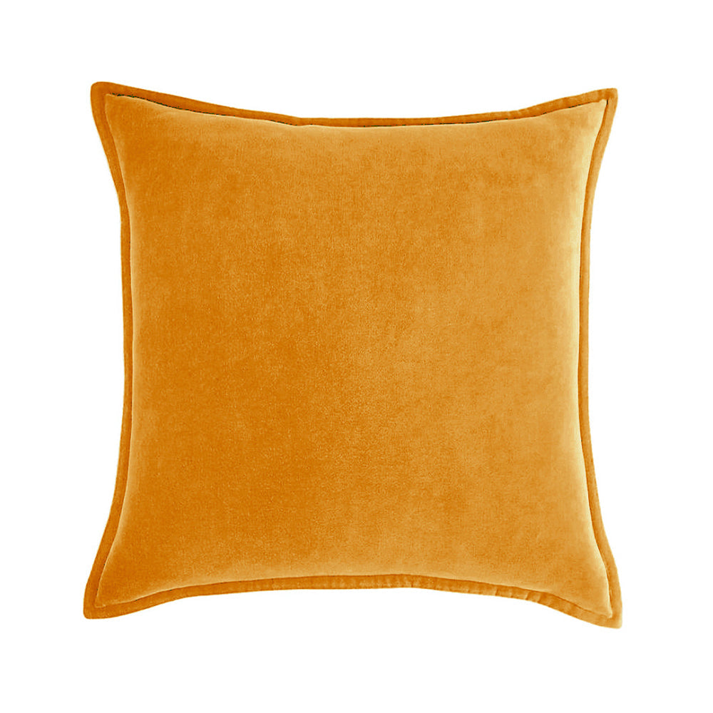 Velvet Throw Pillow with Insert