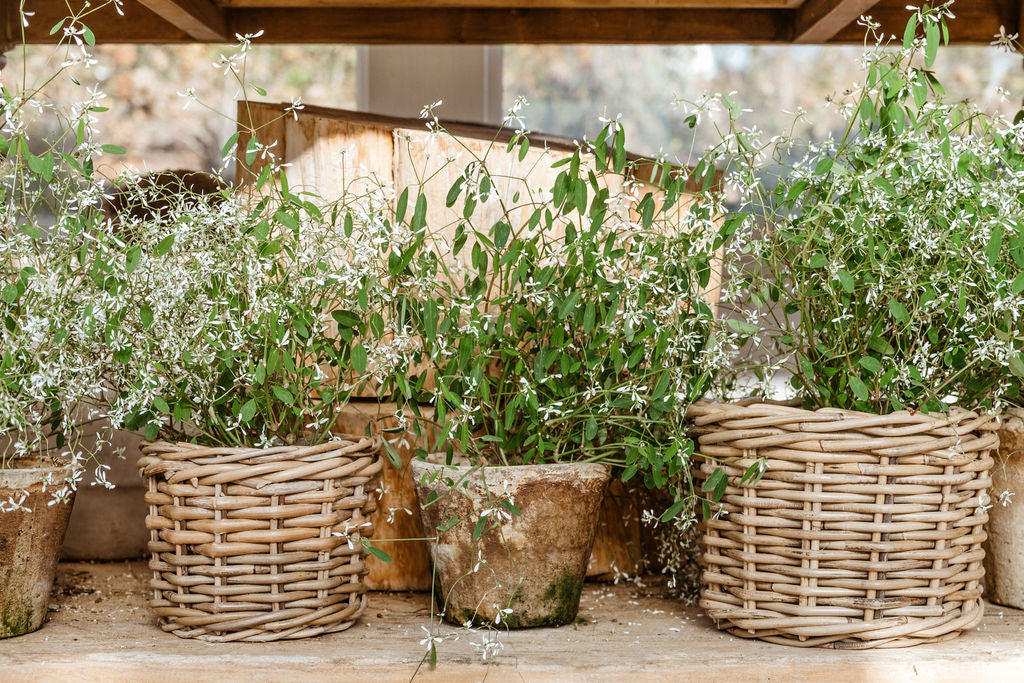 Rattan-Style Planter Basket with Inner Liner