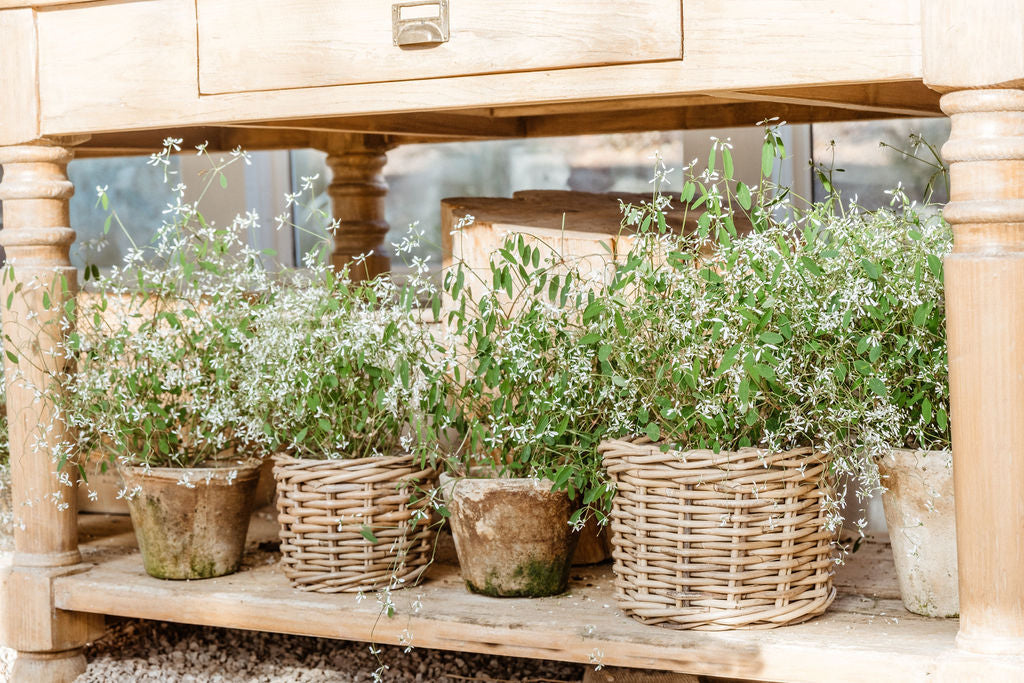 Rattan-Style Planter Basket with Inner Liner