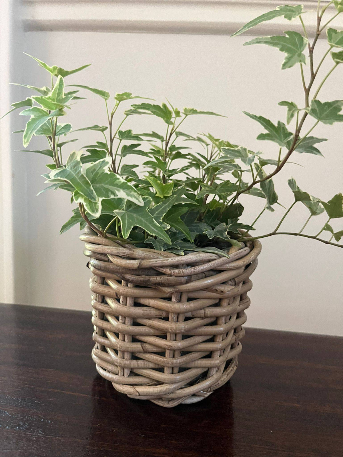 Rattan-Style Planter Basket with Inner Liner