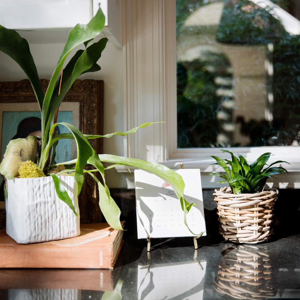 Rattan-Style Planter Basket with Inner Liner