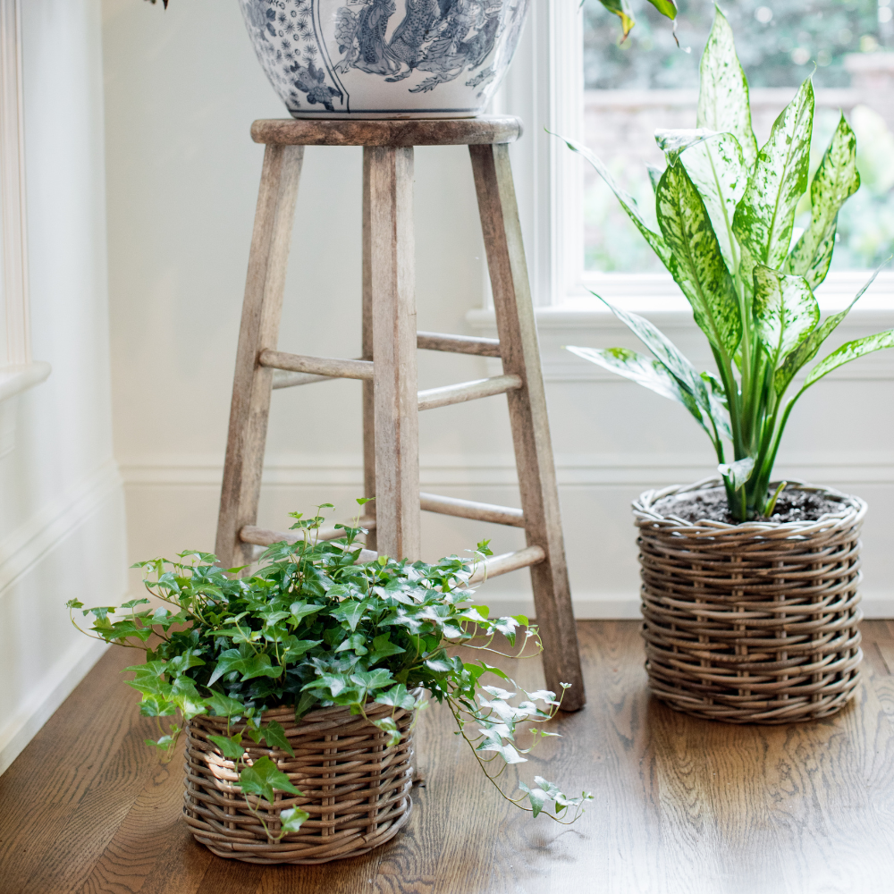 Rattan-Style Planter Basket with Inner Liner